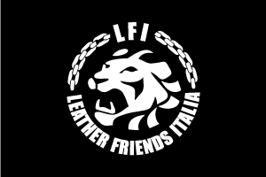 Luxury metal fashion