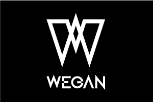 Luxury metal fashion